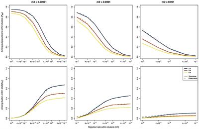 Analysis of Molecular Variance (AMOVA) for Autopolyploids